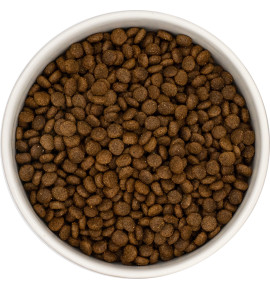 H DOG Grain Free Small Breed Duck with Sweet Potato & Orange